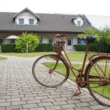 Gaestehaus Finklacke Apetlon Zewnętrze zdjęcie